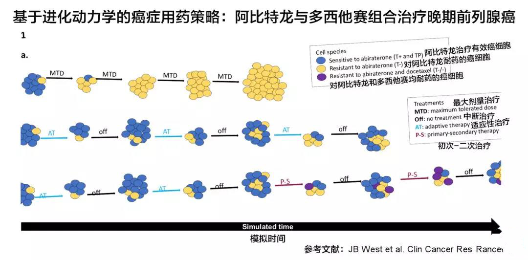 晚期前列腺癌的阿比特龙和多西他赛组合用药