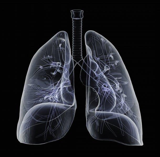 盘点全球肺癌靶向药，多数国内已上市，亮点在最后