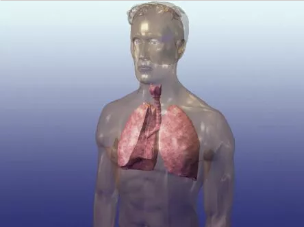 肺癌病人使用PD-1治疗需要注意的6大问题