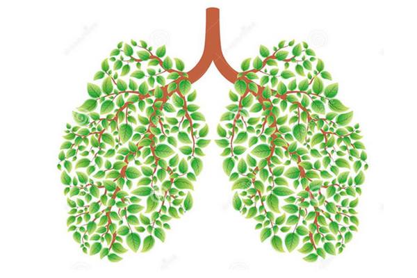 肺癌综述，肺癌病因是什么？临床表现有哪些？如何检查、治疗、护理及预防？