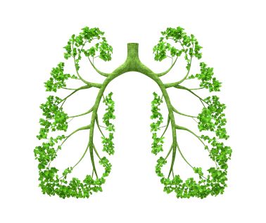 老年肺癌患者的合理二线选择是厄洛替尼(ERLOTINIB)
