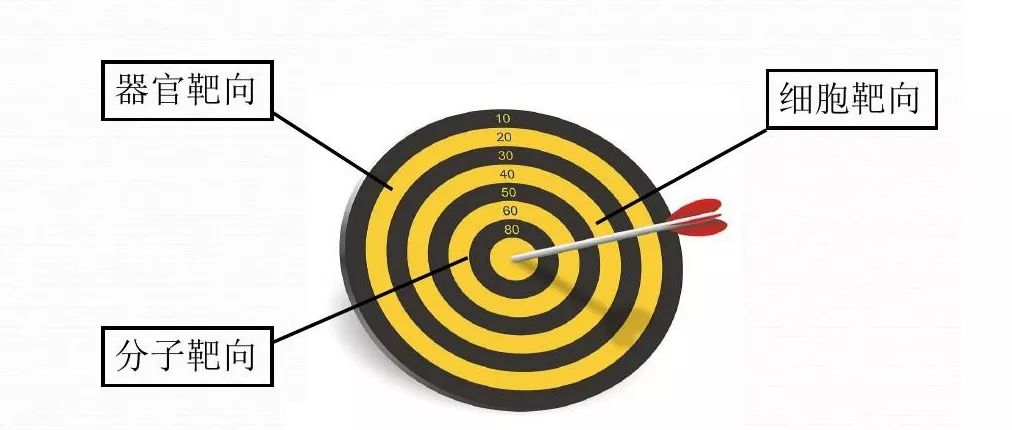 病友亲身经验分享靶向药物副作用反应处理的五十多个小妙招