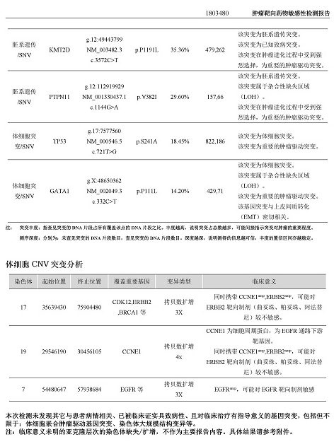 肿瘤基因检测报告该怎么看